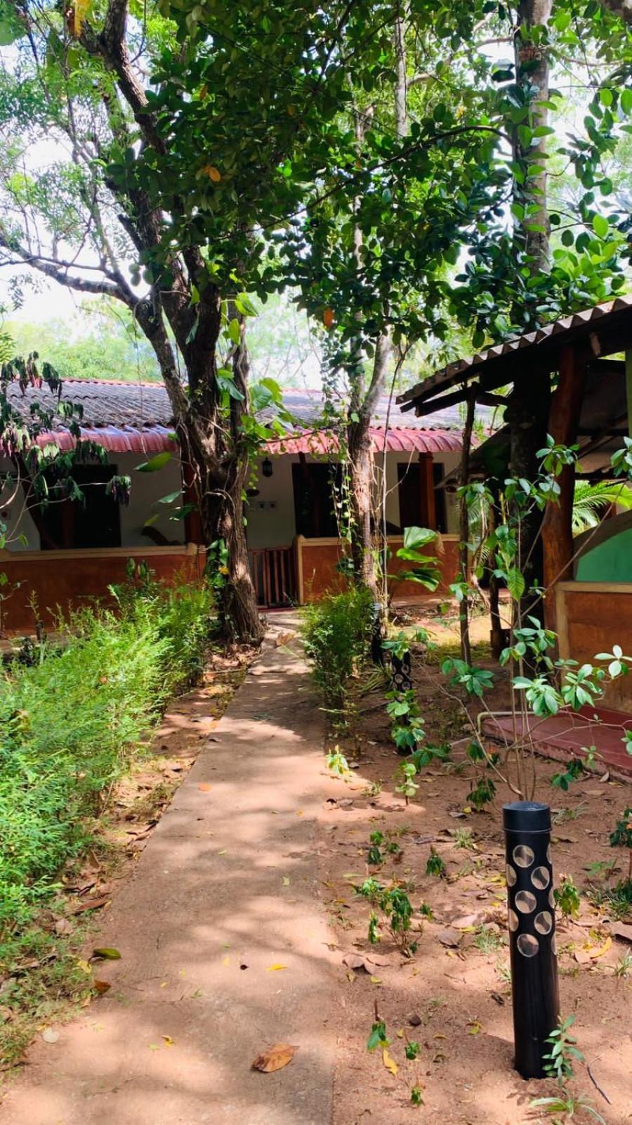 Sisira Natural Lodge - Sigiriya Exterior photo
