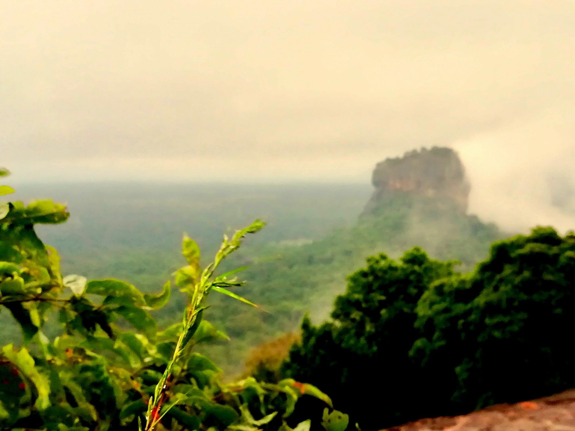 Sisira Natural Lodge - Sigiriya Exterior photo